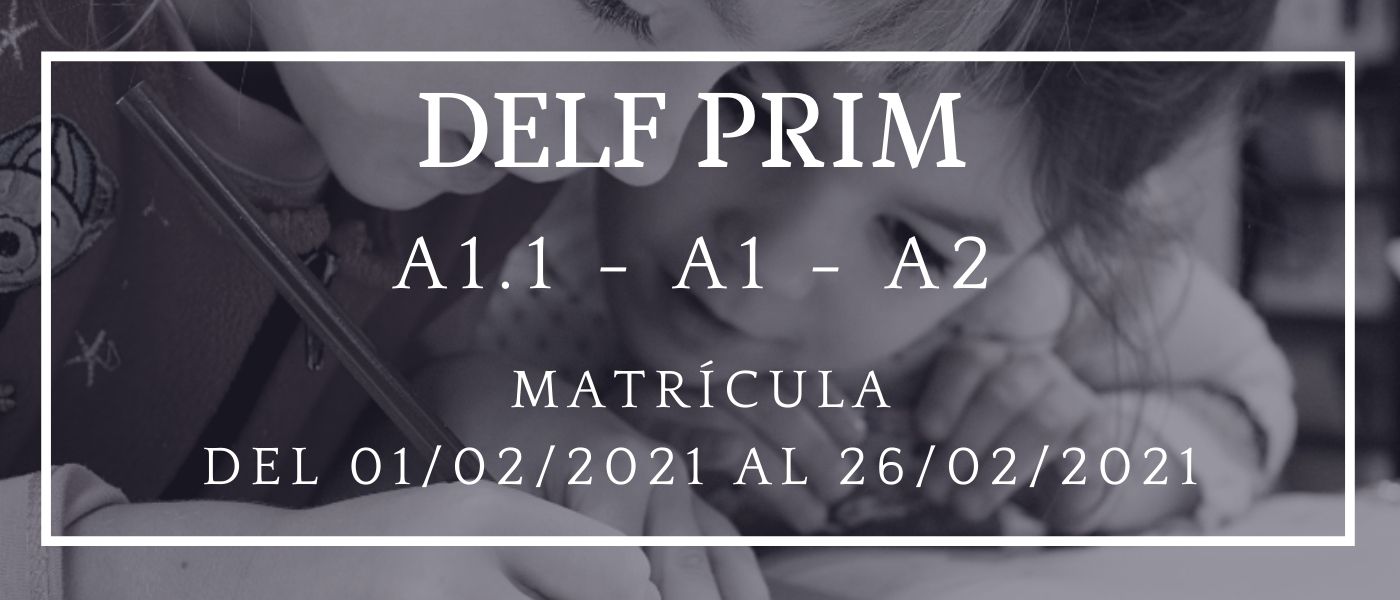 Delf prim 21 - banner