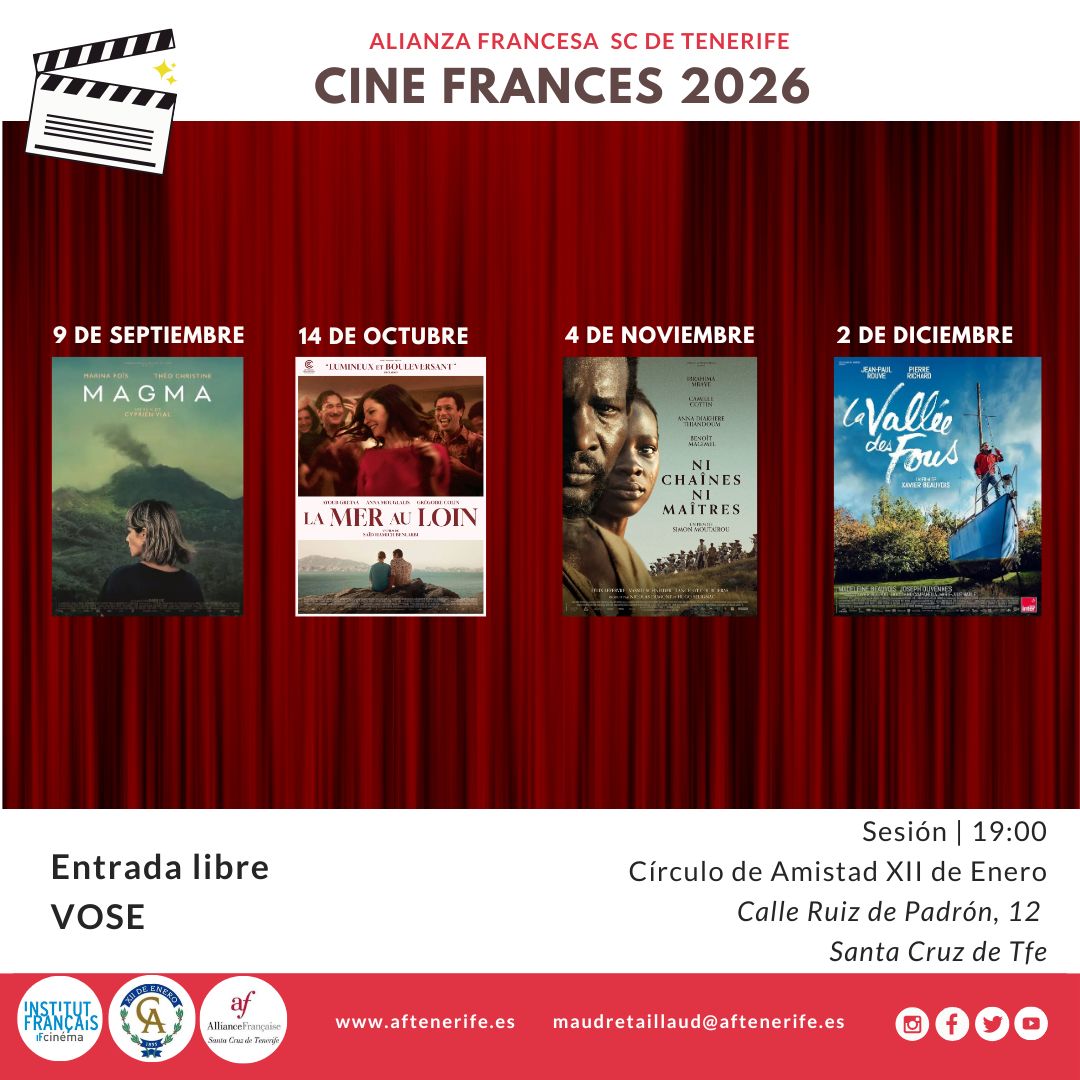 Programacion 2026 pdf